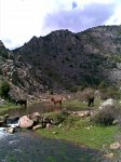 Ruta Imperial 1).jpg