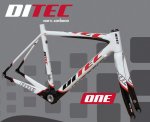 Ditec_cuadro_one.jpg
