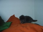 PIC_0092.jpg