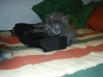 PIC_0097.jpg