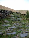 P1050817.JPG