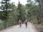 JaÃ©n Yelmo Ballestera y Segura 056 [50%].jpg