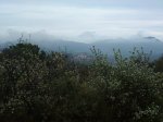 DSC02747.jpg