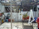 DSC02710.jpg
