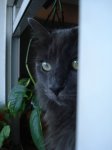 DSC01621.jpg
