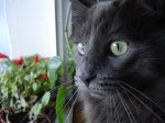 DSC01634.jpg