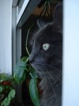 DSC01622.jpg