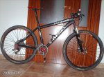 2010042803.jpg