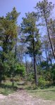 Panorama1.jpg