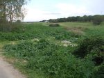 DSCF4435.jpg