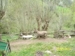 100_2173.jpg