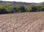 28042010319.jpg
