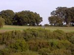28042010326.jpg