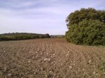 28042010321.jpg