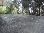 DSC08497.jpg