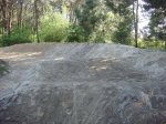 DSC08501.jpg