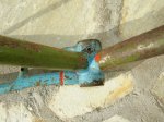 DSCN0188.JPG