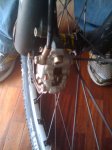 2010-04-30 14.53.03.jpg