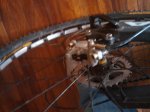 2010-04-30 14.53.17.jpg