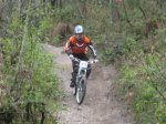 IMG_1656.jpg