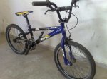 270420101376.jpg