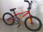 270420101380.jpg