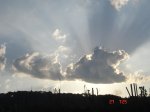 collons com plou 043.jpg
