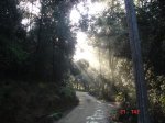 collons com plou 048.jpg