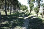 IMAG0026.jpg