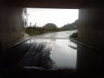 DSC01187.jpg