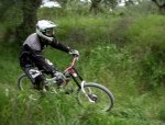 DSCN1194.jpg