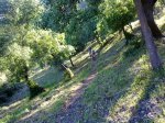 01052010045.jpg