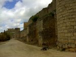 DSC00256.jpg