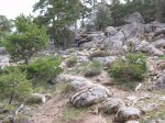 100_1859.jpg