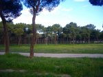 Foto1.JPG
