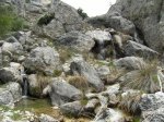 riopar Extrem 2010 043.jpg