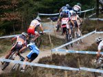 13298_430310918168_511173168_5251623_234218_n.jpg