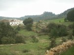PICT0021.jpg