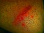 02052010091.jpg
