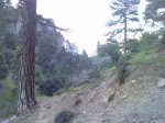 P010510_19.430002.JPG