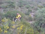 DSC04704.jpg