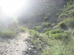 IMG_8349.jpg