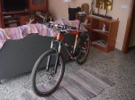 DSC07386.jpg