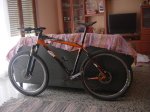 DSC07387.jpg