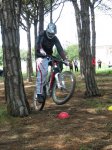 IMG_0149.jpg