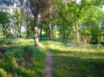 Foto6.JPG