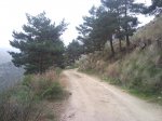 SNC00274.jpg