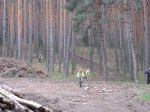IMG_5009.jpg