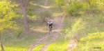 DSCN1507.JPG