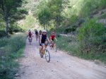 onda7.jpg